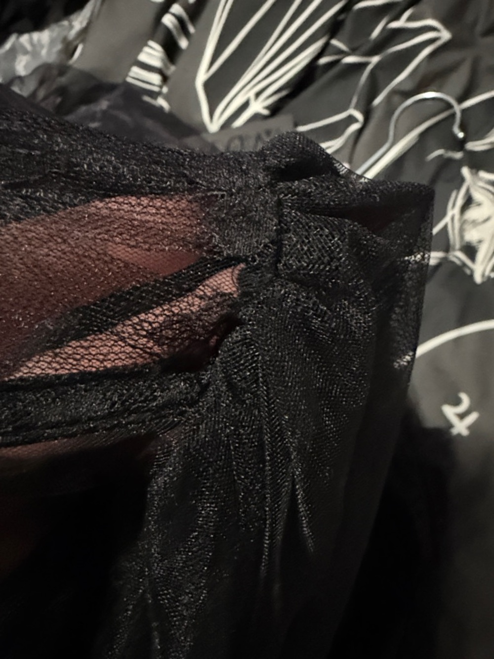 NWT WIDOW Dance with Death sheer dress size Large - Picture 6 of 6